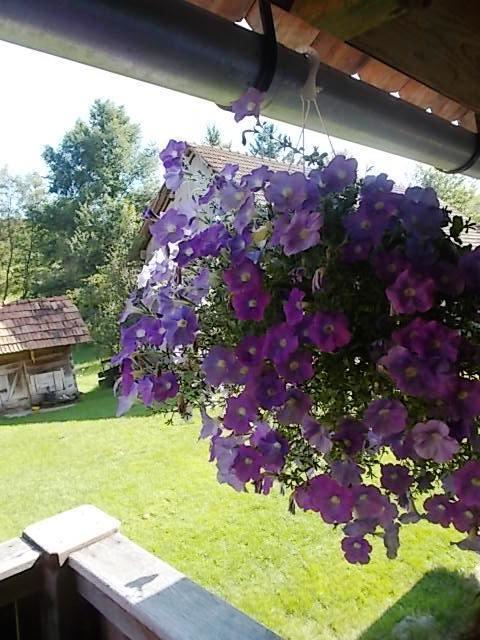 Rustic Home Mia Duga Resa Room photo